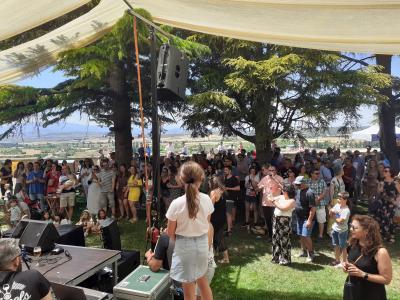 Fiesta del Vino y Patrimonio de Viana